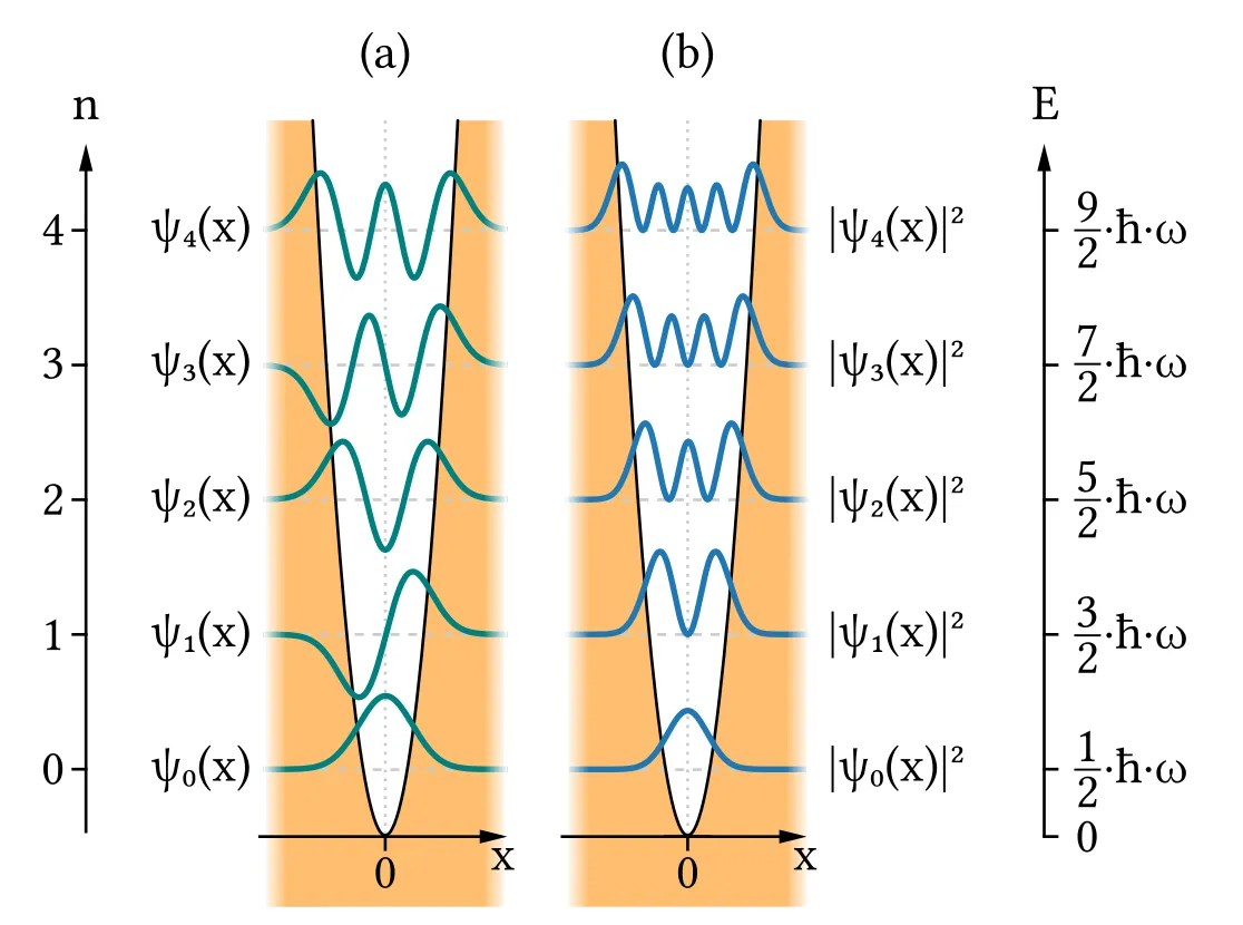 Wavefunctions in a harmonic oscillator.